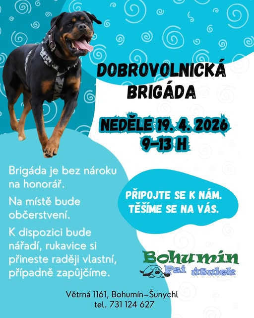 Dobrovolnická brigáda v psím útulku