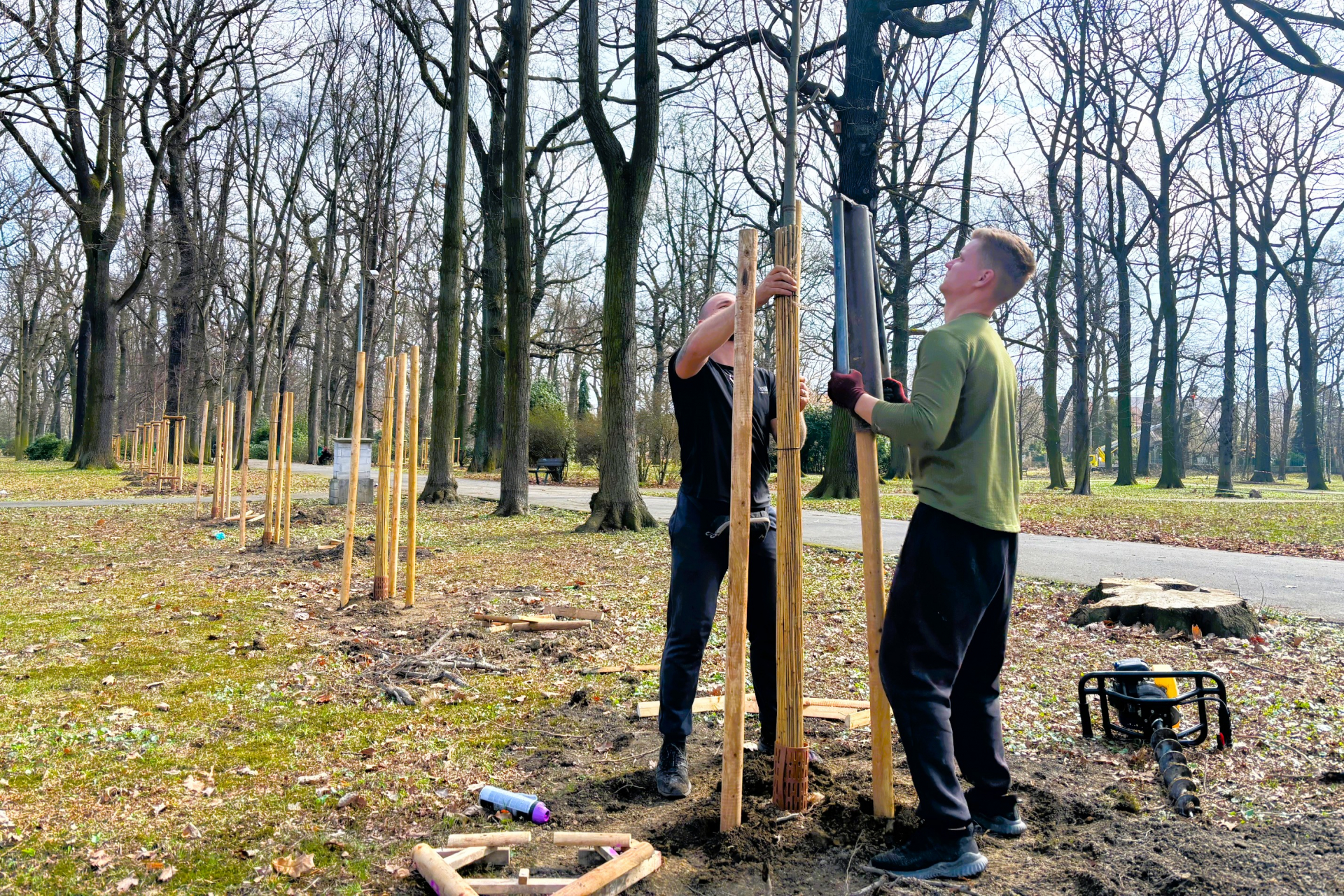 Pokračujeme v regeneraci parku Petra Bezruče, přibylo tu 153 stromů