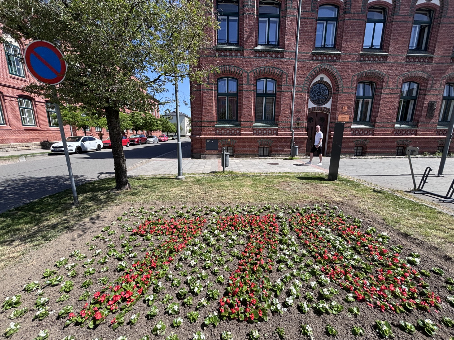 Před oběma budovami radnice vysadili zahradníci symbol výročí